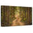 Alvord Nagarhole Pine Forest-108905509