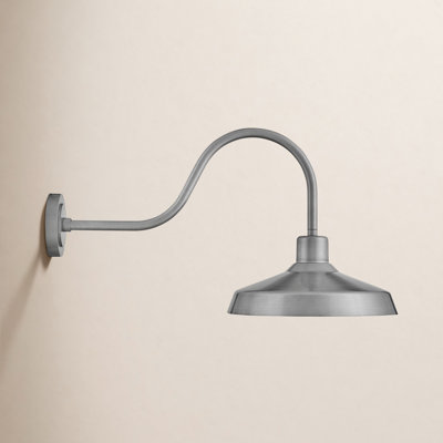 Vanielle 1-Light Outdoor Barn Light