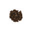 Topsy Turvy Succulent Wall Art, Imperial Bronze