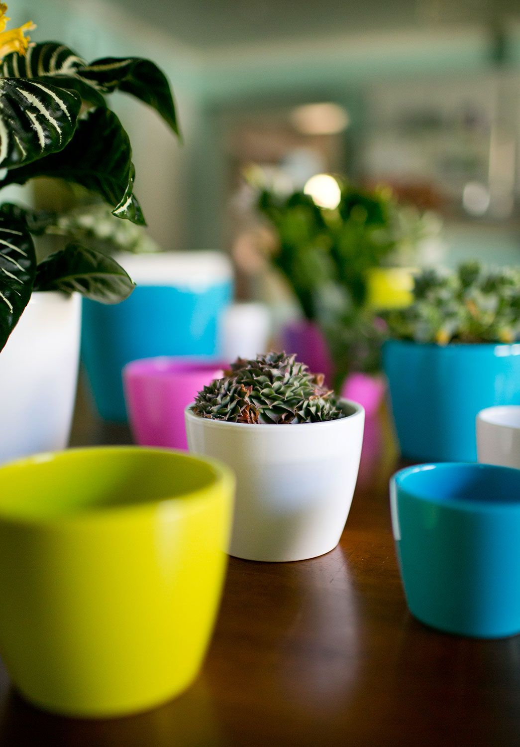 Marcie Ceramic Pot Planter, 3.25" H x 4.25" W x 4.25" D