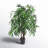 48'' Faux Mango Tree in Pot Liner