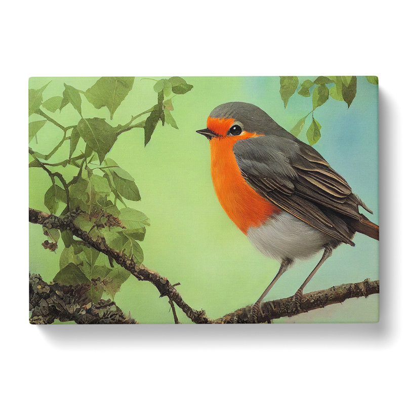 Magnetic Robin Bird - Wrapped Canvas, 40cm H x 60cm W x 3cm D