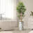 Artificial Tree in Contemporary Planter Fake Bamboo Silk Tree (Plant Pot Plus Tree)-103687325