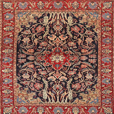 Oriental Indoor Rug
