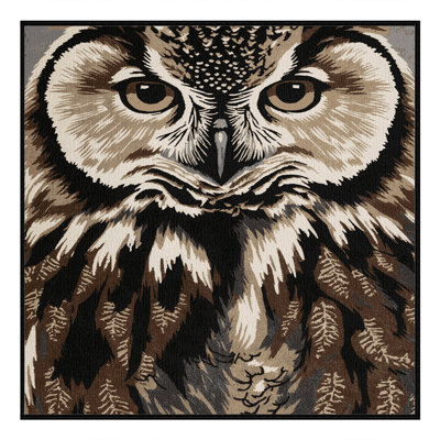 Washable Owl Wildlife Area Rug