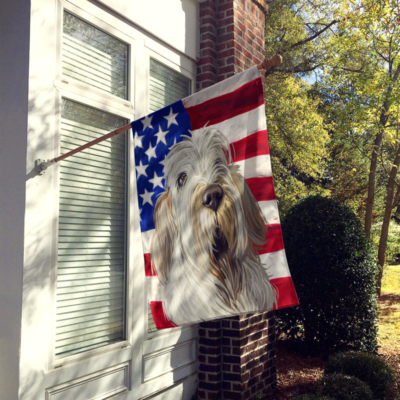 Polyester à 2 côtés 28 x 40 po drapeau maison, Spinone