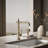 Artifacts Single Handle Kitchen Sink Faucet with Accessories-92872131