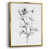 Gold Framed Canvas