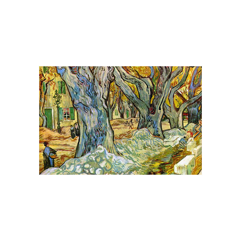 « roadic » par vincent van gogh, reproduction d’art