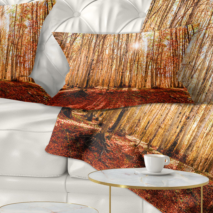 Reversible Throw Pillow