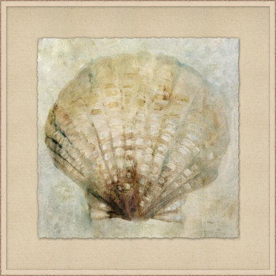 Watercolor Shell 2 - Peinture encadrée