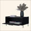 Table basse noire avec porte rabattable-1343680130