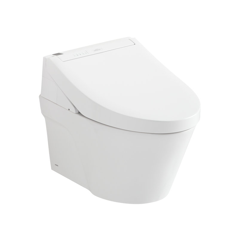 Dual-Flush Elongated Wall Mounted Toilet (Seat Included)