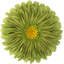  Housse et insert de coussin décoratif en tournesol Appliqued-736472922-717990371