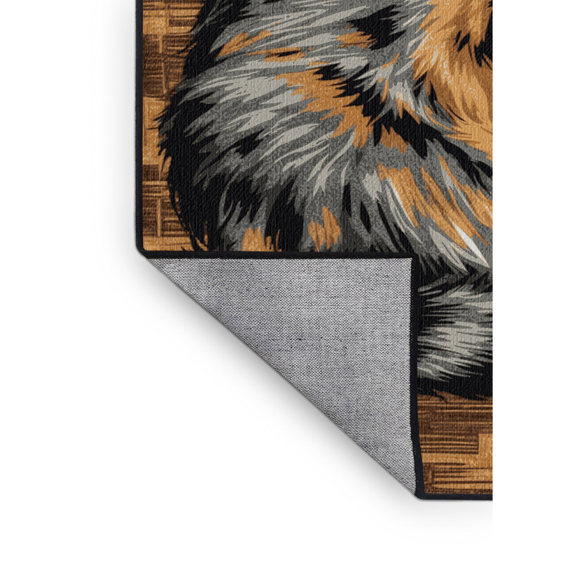  Tapis lavable australien à brume, Tapis de couloir 2 pi x 4 pi