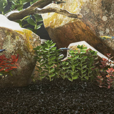 Meadowlakes Aquarium Decoration