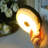 32.8Ft 100 Warm Leds, 8 Modes With Timer, 3×AA Powered For Camping, Emergencies & Home Decor