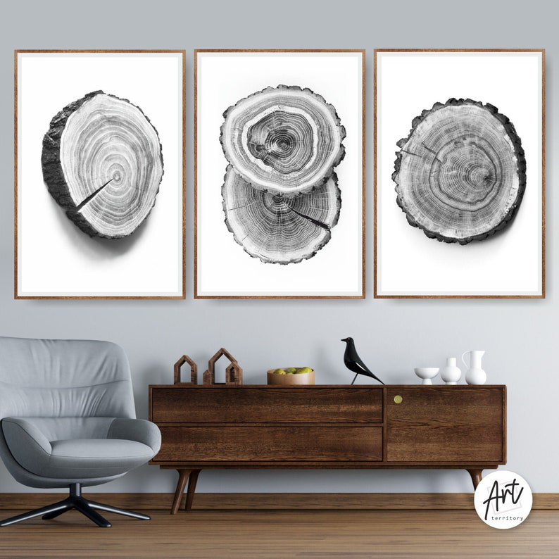 «Tree Ring», reproduction d'art sur bois, grandes estampes ou toiles, H 16 po x l 36 po x P 0,75 po, Toile tendue