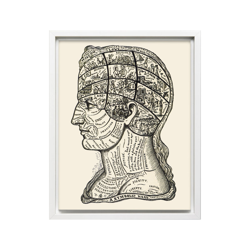 Une tête symbolique, diagramme de phénologie, Canevas, H 24 po x l 32 po, Encadrement blanc