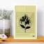Aries Honeysuckle Zodiac Contemporary Honeysuckle Flower Nature Wall Art Print 1 Piece Wrapped Canvas Wall Art-1451774528