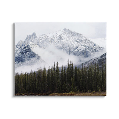 Snowy Mountain Top Tall Fir Trees