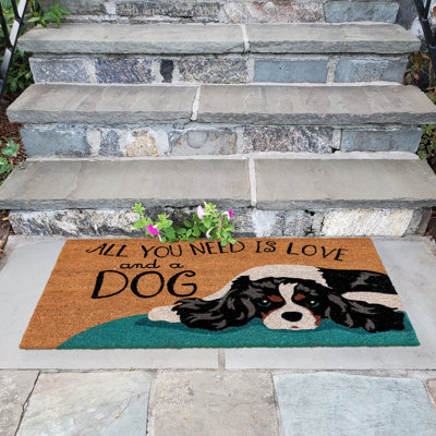 Everlee Non-Slip No Pattern Doormat