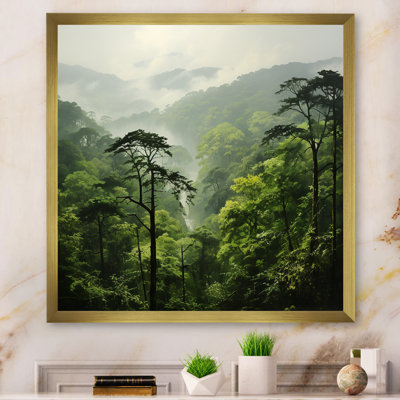 Rainforest jungle paysage 1 - Jungle, reproduction d'art sur toile encadrée