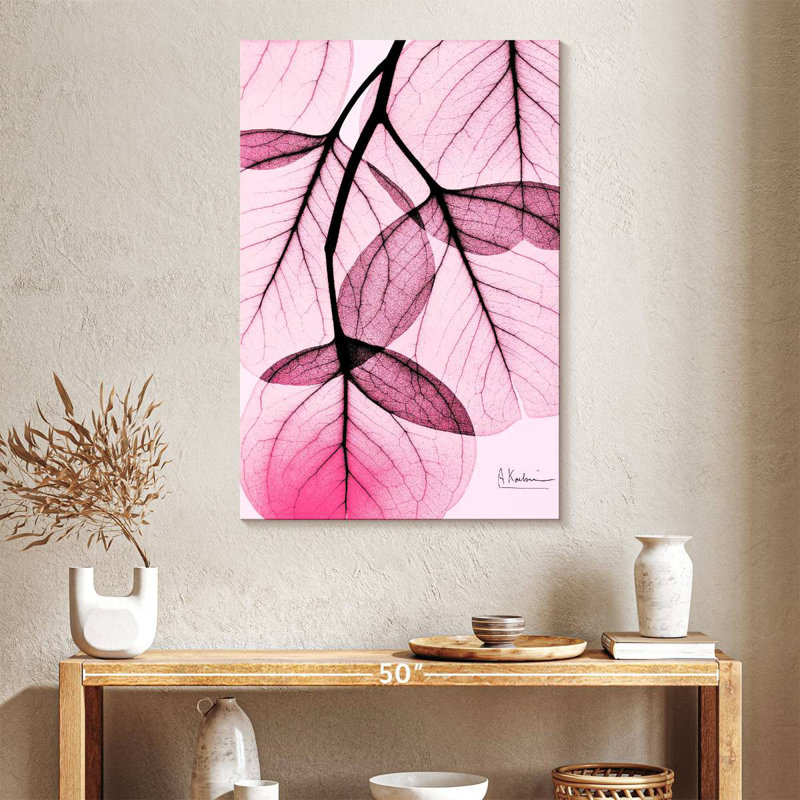 Eucalyptus rose Harnek II, H 39 po x l 26 po