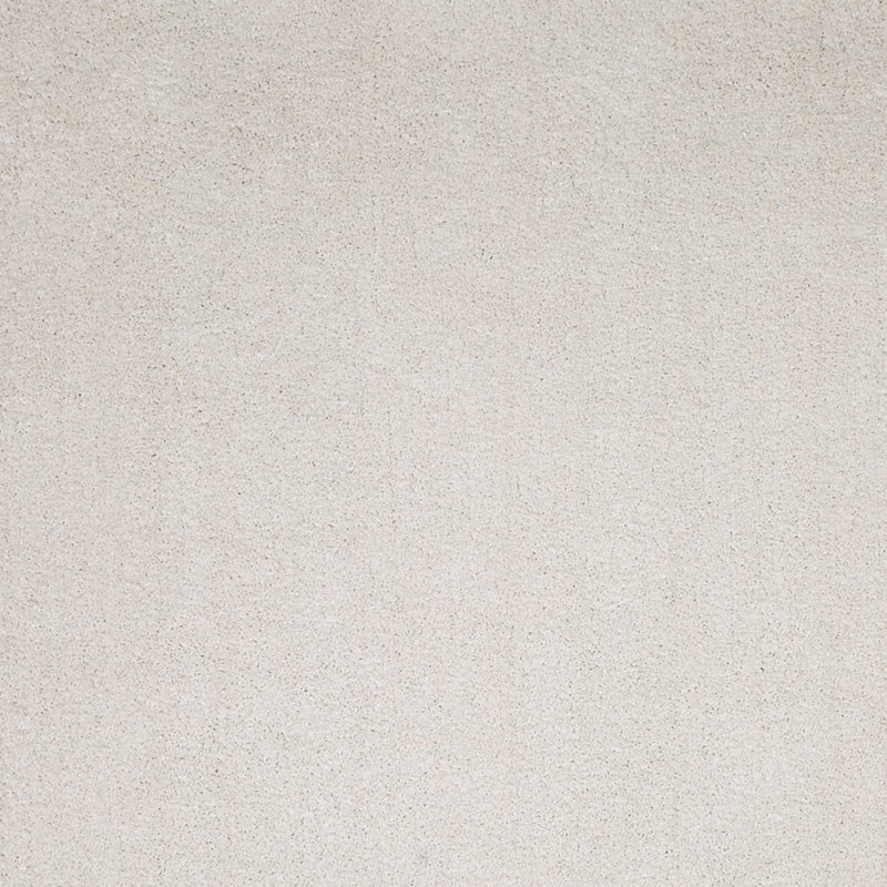 2' X 4' Polyester Ivory Area Rug
