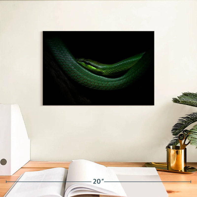 Brampt Mamba, 30" H x 45" W