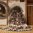 Machine Washable Persian Brown Area Rug-710466310