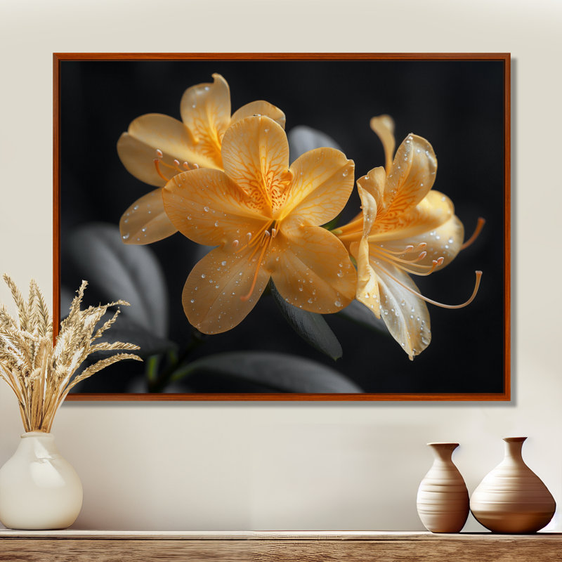 Rhododendron jaune et noir «Midnight Bloom I» - impression d'art mural rhododendron, Cadre flottant brun, H 24 po x l 32 po