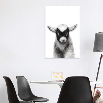 Black Baby Goat - Wrapped Canvas Painting