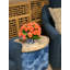 Begonia Arrangement In Ornamental Ceramic Vase-658148944