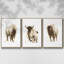 Rustic Bison I, ensemble de 3 toiles encadrées sur toile-97706751-97706754