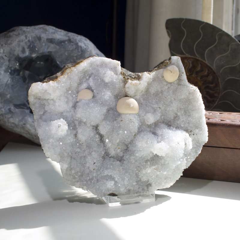 Cristal Casheena