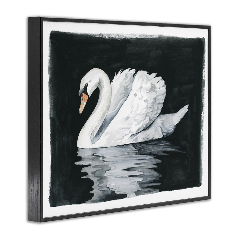 Magnifique cygne, reflet noir, art de la giclée par Grace Popp, Giclée encadrée noir minuit, H 11 po x l 14 po x P 1,5 po