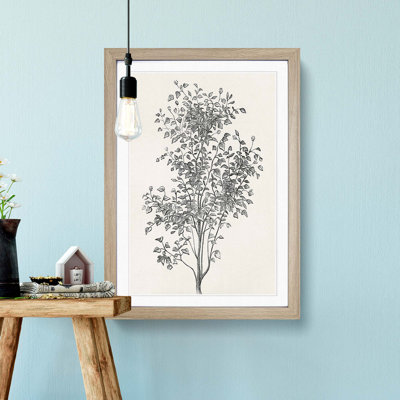 Irish Ivy by Shirley Hibberd - Picture Frame Painting Print