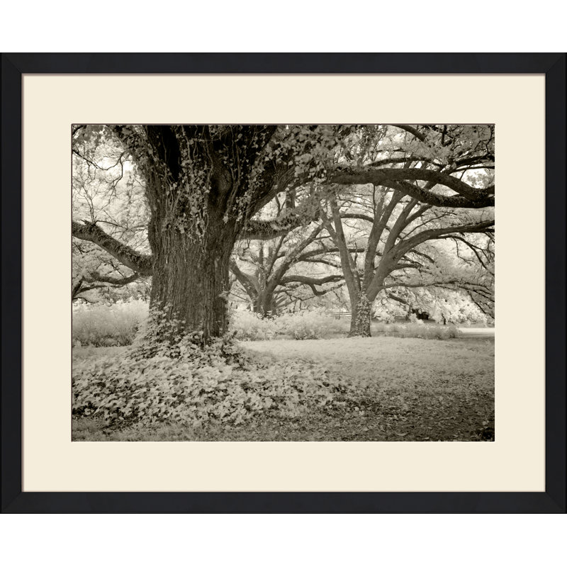 A Quiet Place III Print