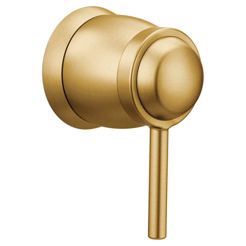 Align Volume Control Tub/Shower Trim Kit without Valve, Brushed Gold