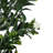 Rambling Arrangement-563142086-563142085