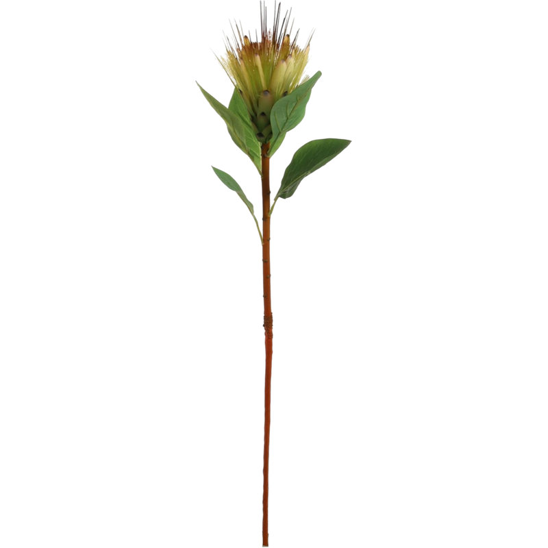 3pc 30" Light Yellow Royal Protea Spray