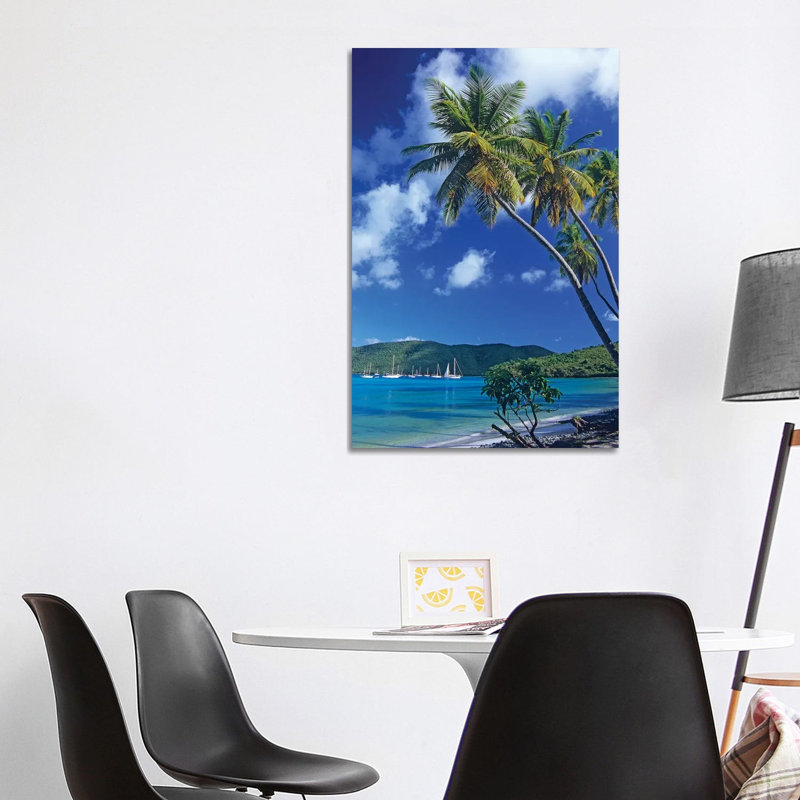 Palm Trees At Maho Bay, Virgin Islands by Tim Fitzharris - Print on Canvas, 66.04 cm H x 45.72 cm W x 3.175 cm D