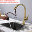Stainless Steel Pull Out Kitchen Faucet-104406311