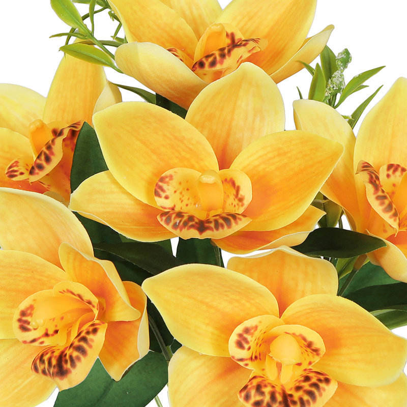 Arrangement de tiges d'orchidées, de buissons et de jets, Jaune