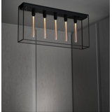 Caged Ceiling 5.0 /