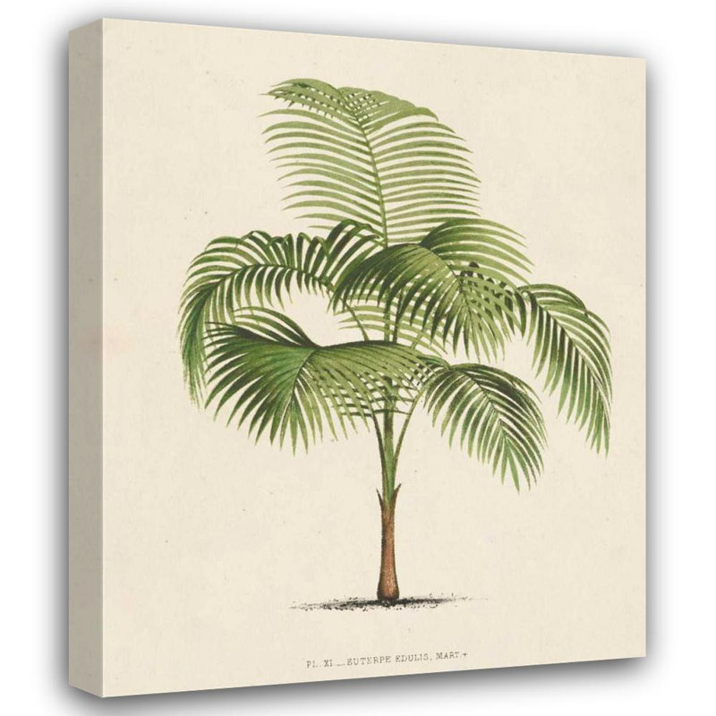 Art sur toile tendue Astoria Grand Inconnu, titre: Les Palmiers I, H 34 po x l 28 po