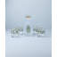 Holiday 5-Piece Decanter & Whiskey Glass Set