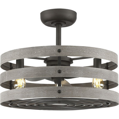 Eidanas 23.5'' Ceiling Fan with Light Kit