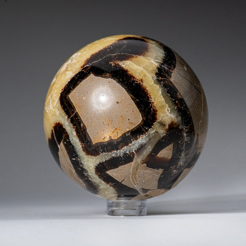 Genuine Polished Septarian (2") Sphere from Madagascar, 2" H x 2" W x 2" D, Yellow/ Gray